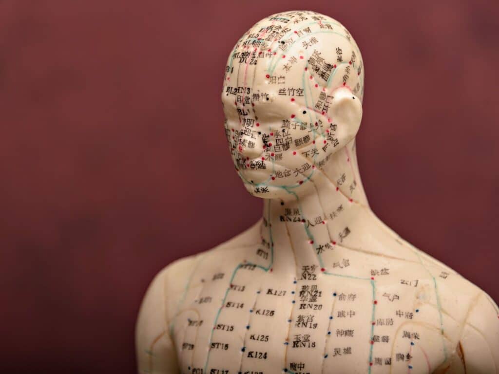 Medicina cinese - i canali meridiani