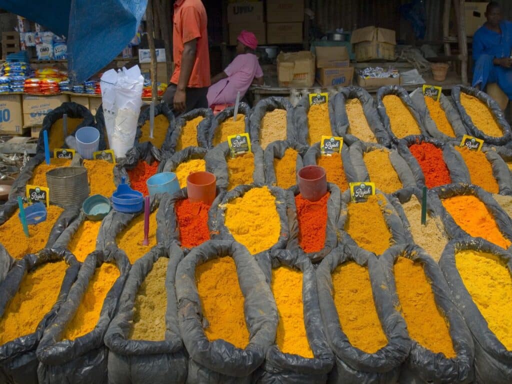 alimentazione rajica Rajas guna