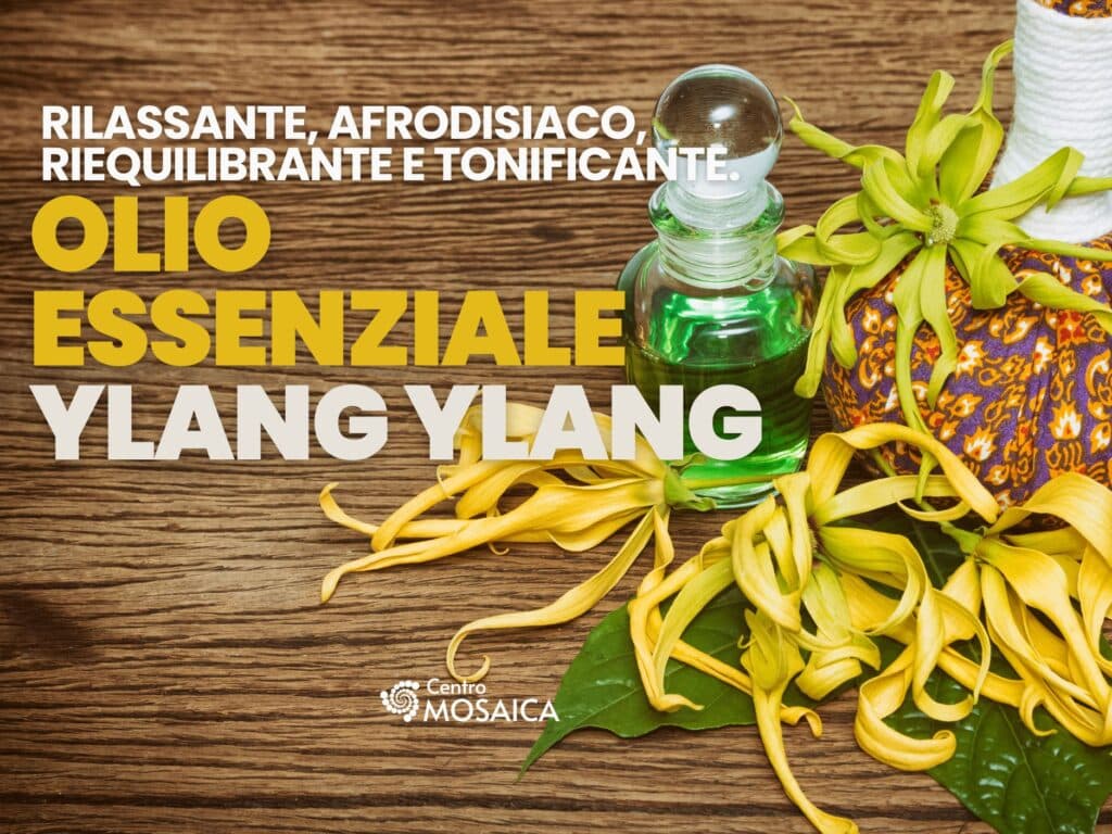 olio essenziale ylang ylang