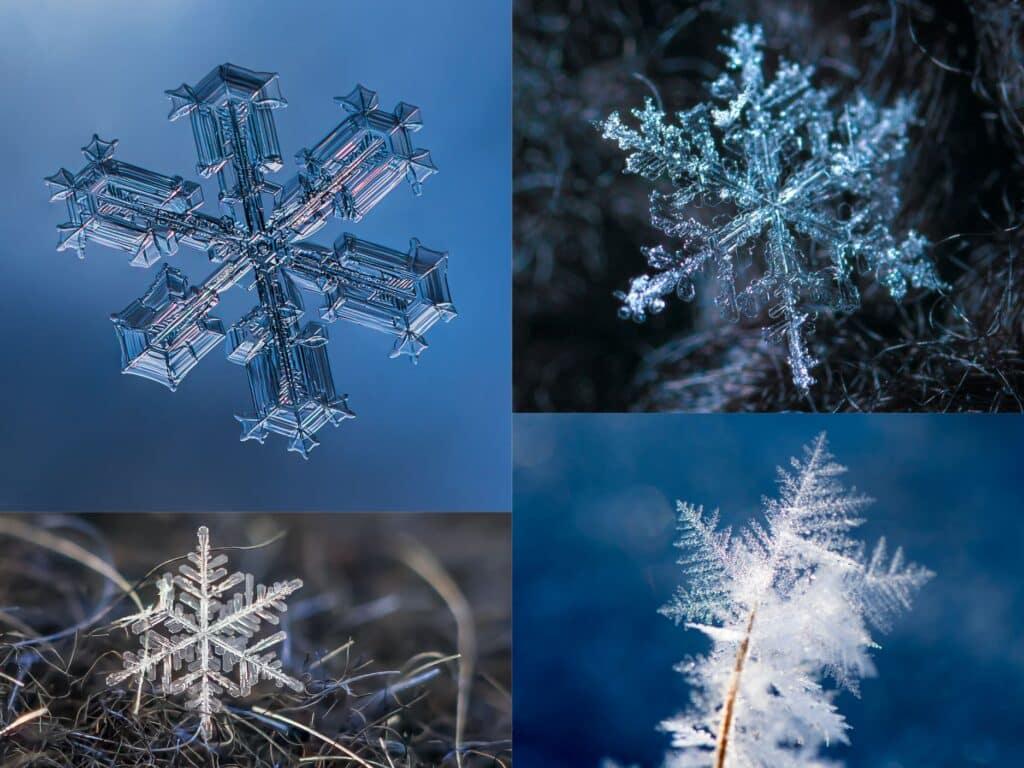 Masaru e moto la memoria dell'acqua