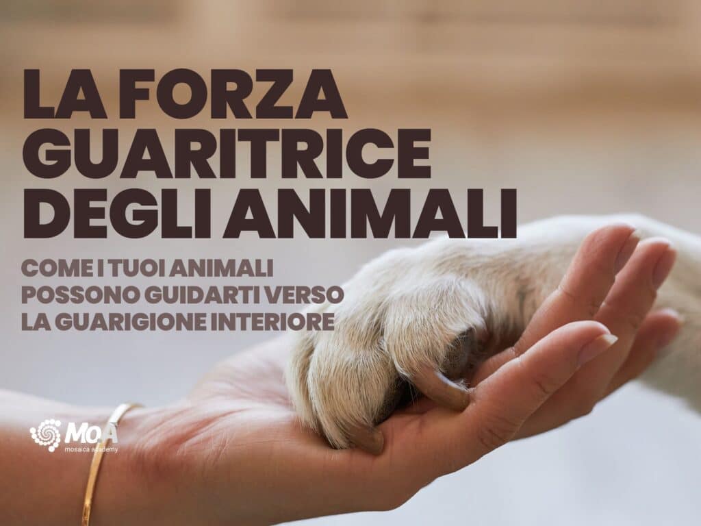 la forza guaritrice degli animali