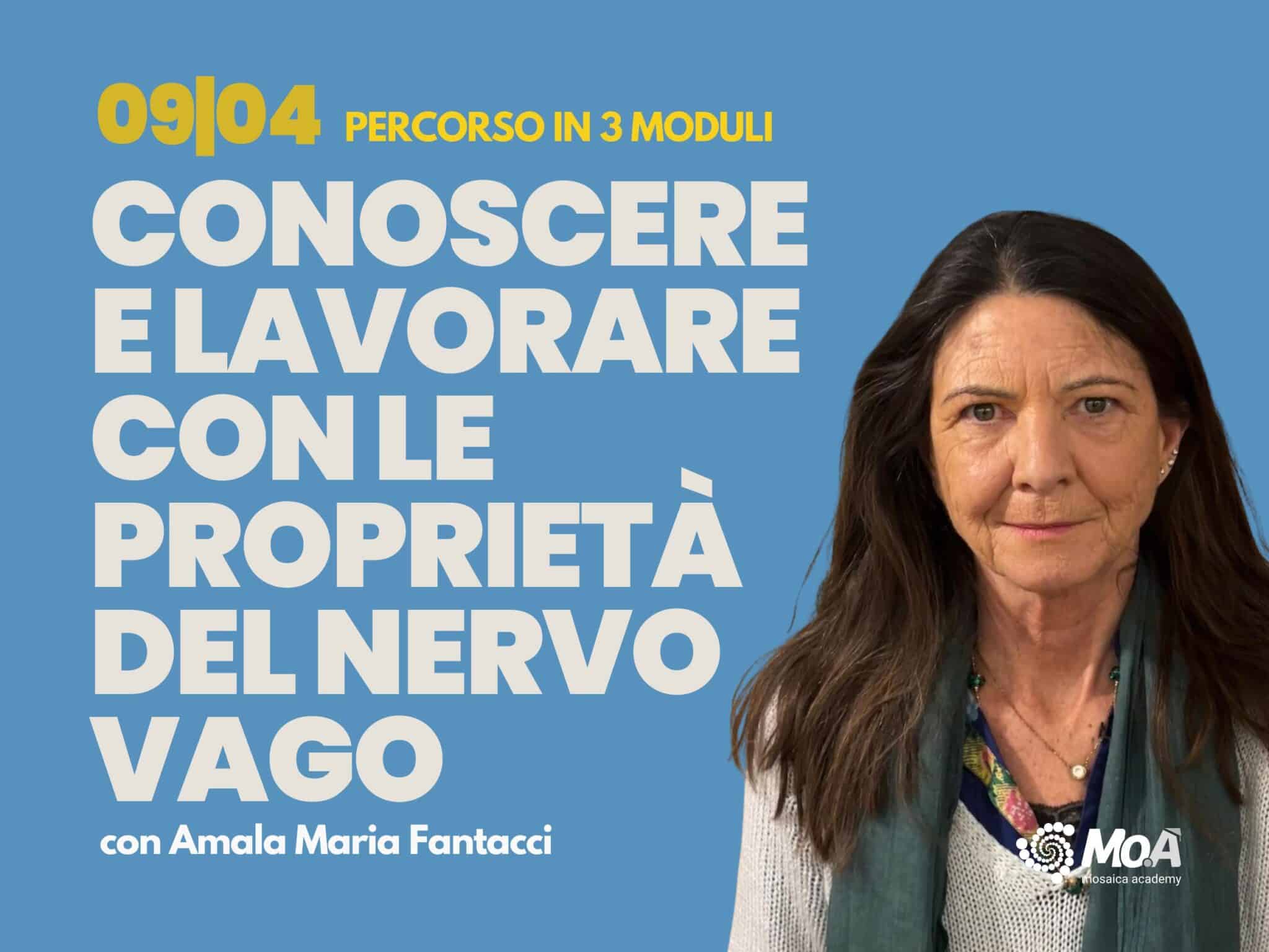 nervo vago