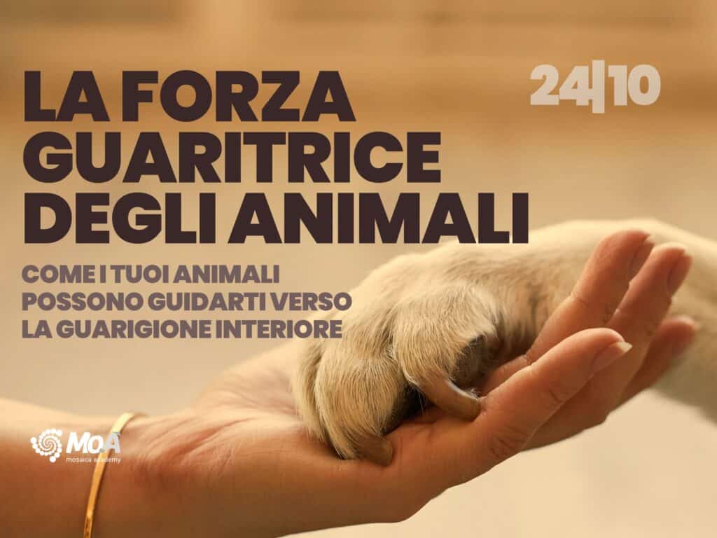La Forza guaritrice degli animali (1)